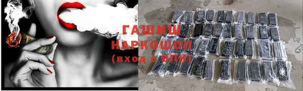 трава Ельня