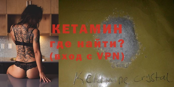 трава Ельня