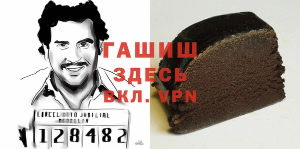 трава Ельня