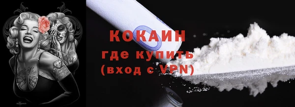 трава Ельня