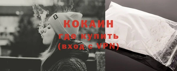 трава Ельня