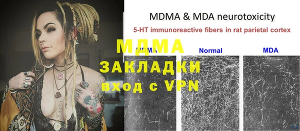 трава Ельня
