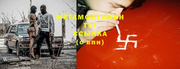 трава Ельня
