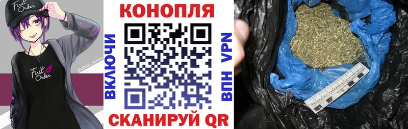 Бошки Шишки планчик Дубна